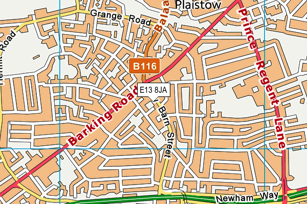 E13 8JA map - OS VectorMap District (Ordnance Survey)