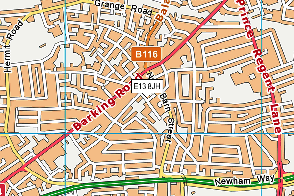 E13 8JH map - OS VectorMap District (Ordnance Survey)