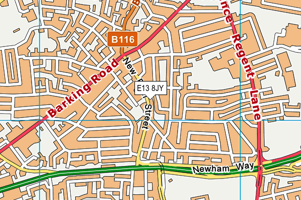 E13 8JY map - OS VectorMap District (Ordnance Survey)