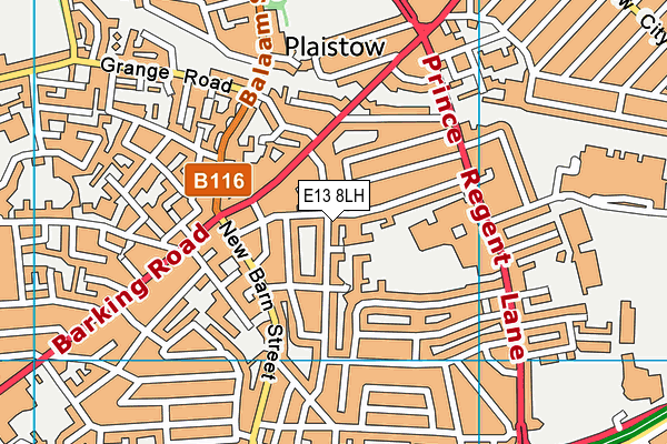 E13 8LH map - OS VectorMap District (Ordnance Survey)