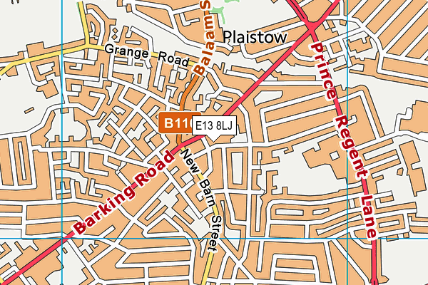 E13 8LJ map - OS VectorMap District (Ordnance Survey)