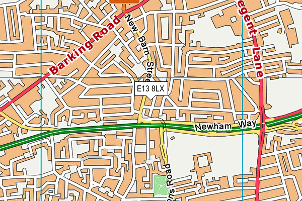 E13 8LX map - OS VectorMap District (Ordnance Survey)