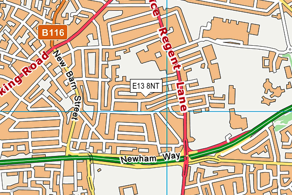 E13 8NT map - OS VectorMap District (Ordnance Survey)