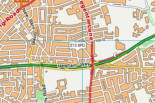 E13 8PD map - OS VectorMap District (Ordnance Survey)