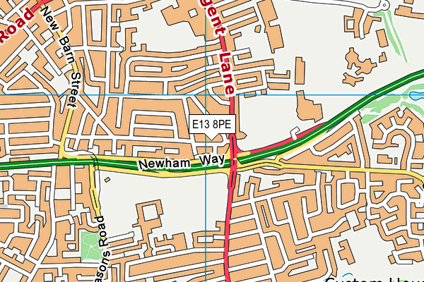 E13 8PE map - OS VectorMap District (Ordnance Survey)