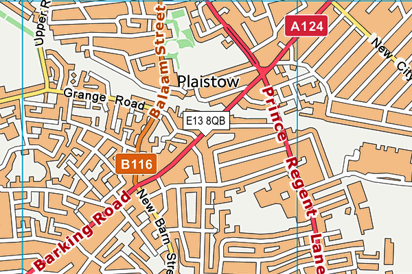 E13 8QB map - OS VectorMap District (Ordnance Survey)