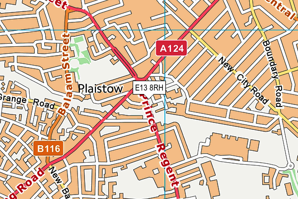 E13 8RH map - OS VectorMap District (Ordnance Survey)