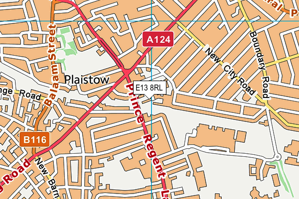 E13 8RL map - OS VectorMap District (Ordnance Survey)