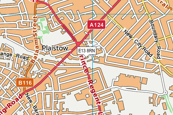 E13 8RN map - OS VectorMap District (Ordnance Survey)