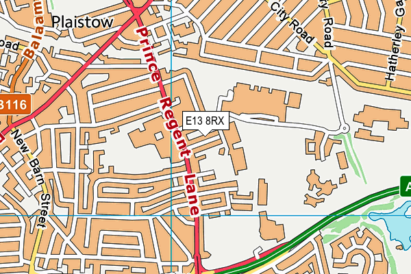 E13 8RX map - OS VectorMap District (Ordnance Survey)