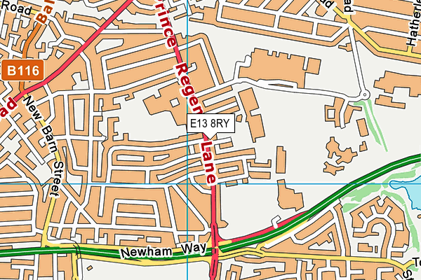 E13 8RY map - OS VectorMap District (Ordnance Survey)