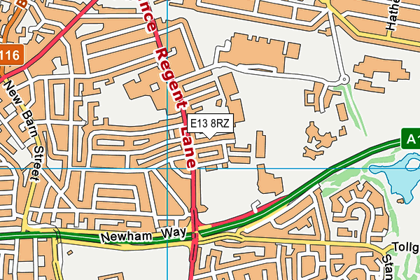E13 8RZ map - OS VectorMap District (Ordnance Survey)