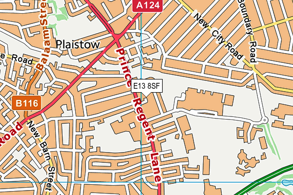 E13 8SF map - OS VectorMap District (Ordnance Survey)