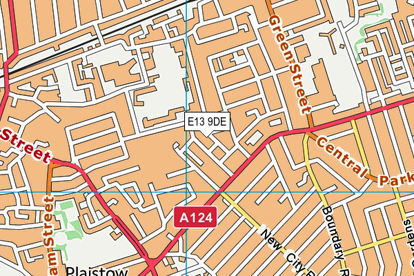 E13 9DE map - OS VectorMap District (Ordnance Survey)