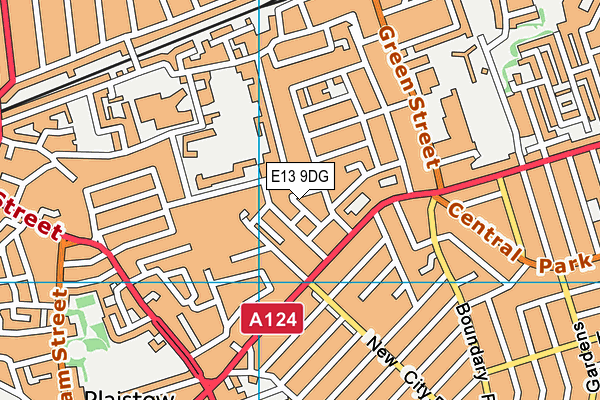 E13 9DG map - OS VectorMap District (Ordnance Survey)