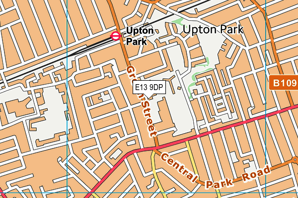 E13 9DP map - OS VectorMap District (Ordnance Survey)