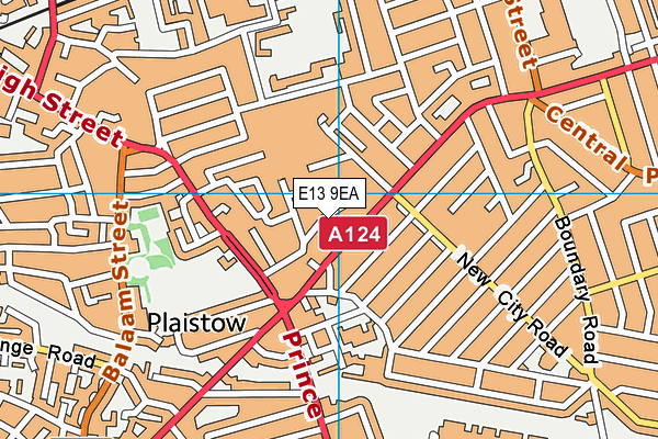 E13 9EA map - OS VectorMap District (Ordnance Survey)