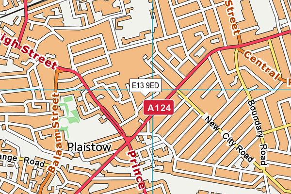 E13 9ED map - OS VectorMap District (Ordnance Survey)