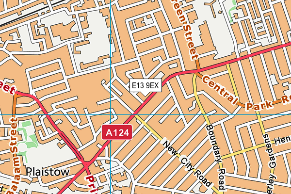 E13 9EX map - OS VectorMap District (Ordnance Survey)