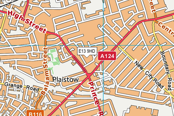 E13 9HD map - OS VectorMap District (Ordnance Survey)