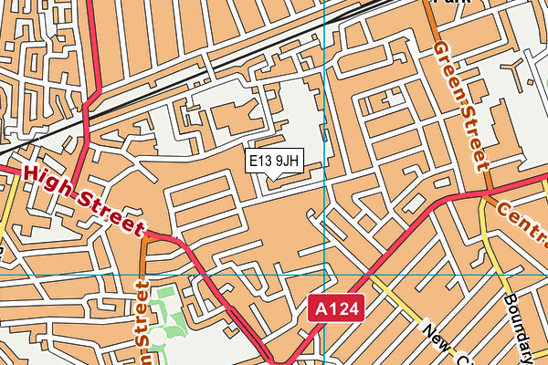 E13 9JH map - OS VectorMap District (Ordnance Survey)