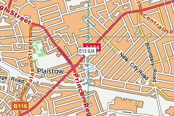 E13 9JX map - OS VectorMap District (Ordnance Survey)