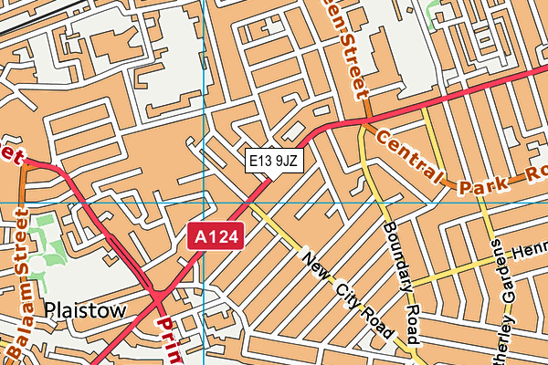 E13 9JZ map - OS VectorMap District (Ordnance Survey)