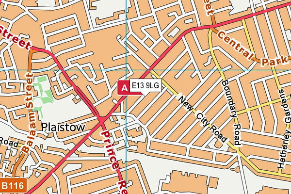 E13 9LG map - OS VectorMap District (Ordnance Survey)