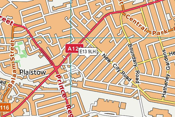 E13 9LH map - OS VectorMap District (Ordnance Survey)