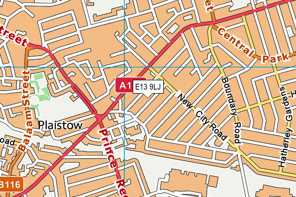 E13 9LJ map - OS VectorMap District (Ordnance Survey)