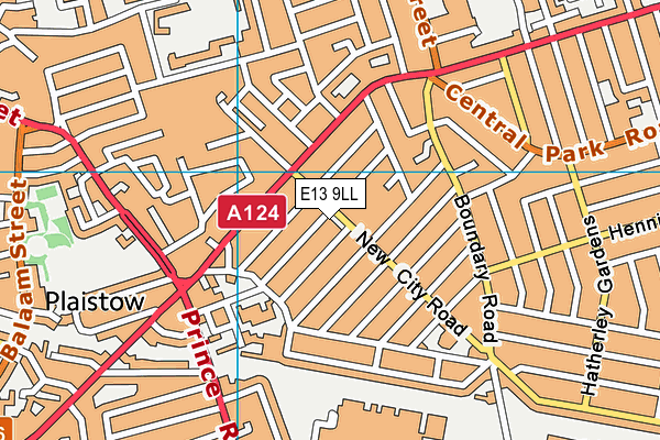 E13 9LL map - OS VectorMap District (Ordnance Survey)