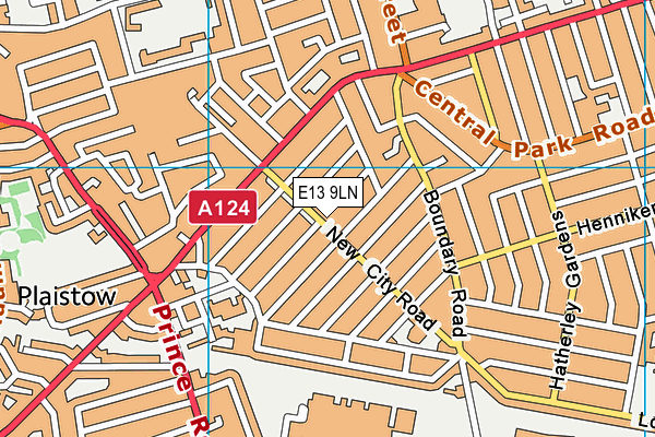 E13 9LN map - OS VectorMap District (Ordnance Survey)