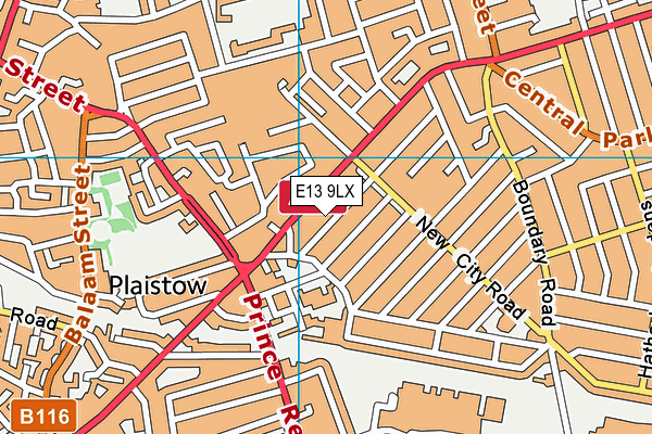 E13 9LX map - OS VectorMap District (Ordnance Survey)