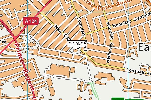New City Primary School map (E13 9NE) - OS VectorMap District (Ordnance Survey)