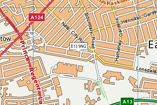 E13 9NG map - OS VectorMap District (Ordnance Survey)