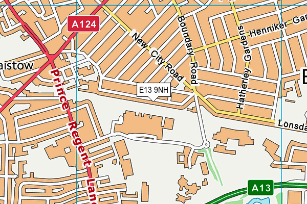 E13 9NH map - OS VectorMap District (Ordnance Survey)