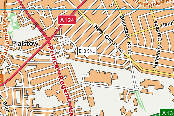 E13 9NL map - OS VectorMap District (Ordnance Survey)