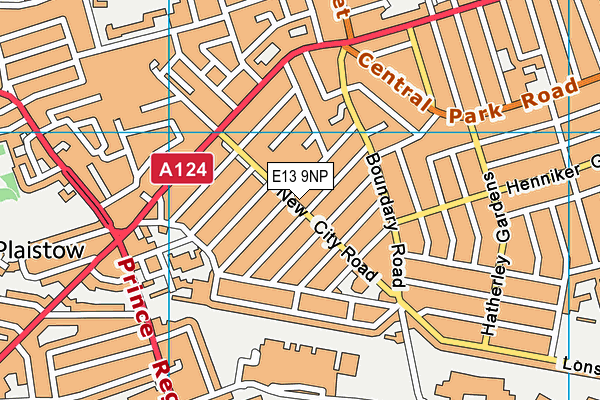 E13 9NP map - OS VectorMap District (Ordnance Survey)