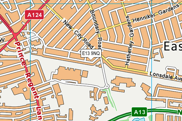 E13 9NQ map - OS VectorMap District (Ordnance Survey)