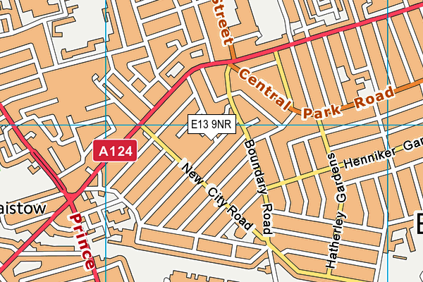 E13 9NR map - OS VectorMap District (Ordnance Survey)