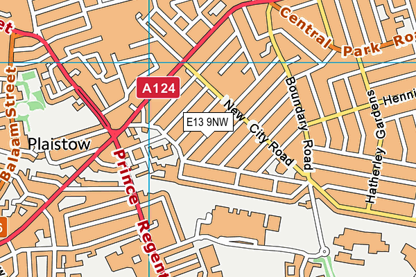 E13 9NW map - OS VectorMap District (Ordnance Survey)