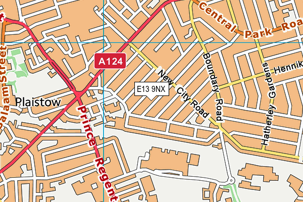 E13 9NX map - OS VectorMap District (Ordnance Survey)