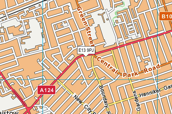 E13 9PJ map - OS VectorMap District (Ordnance Survey)