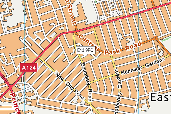 E13 9PQ map - OS VectorMap District (Ordnance Survey)