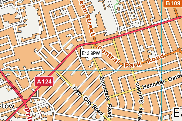 E13 9PW map - OS VectorMap District (Ordnance Survey)