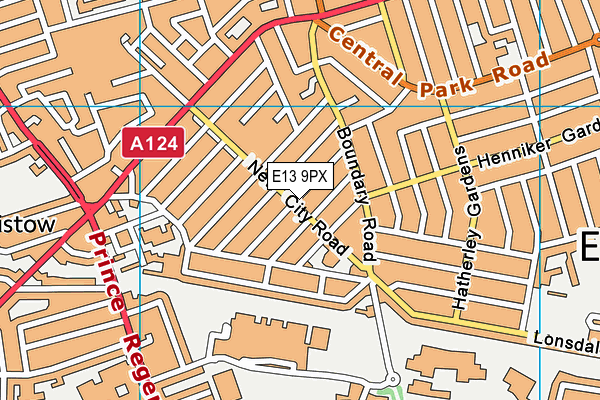 E13 9PX map - OS VectorMap District (Ordnance Survey)