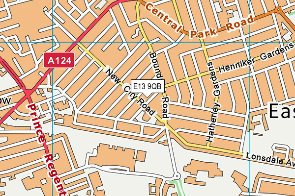 E13 9QB map - OS VectorMap District (Ordnance Survey)