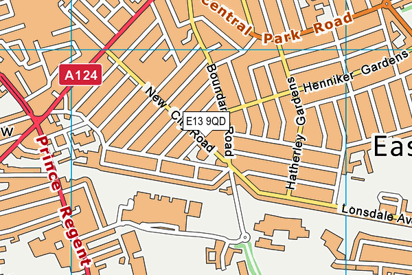 E13 9QD map - OS VectorMap District (Ordnance Survey)