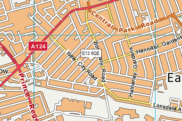 E13 9QE map - OS VectorMap District (Ordnance Survey)