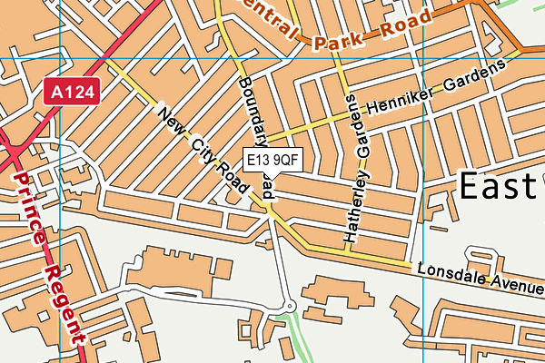 E13 9QF map - OS VectorMap District (Ordnance Survey)